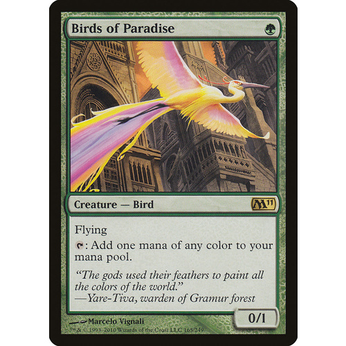 Birds of Paradise - M11