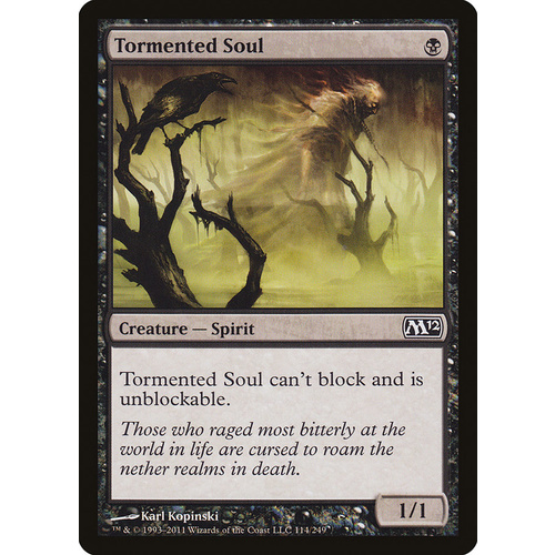 Tormented Soul - M12