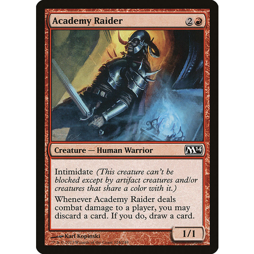 Academy Raider - M14