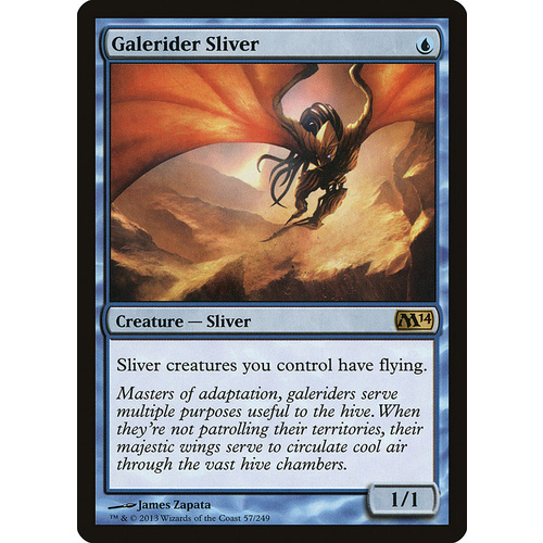 Galerider Sliver FOIL - M14
