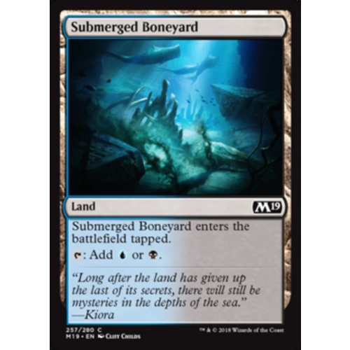 Submerged Boneyard FOIL - M19