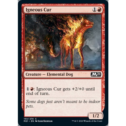 Igneous Cur - M21
