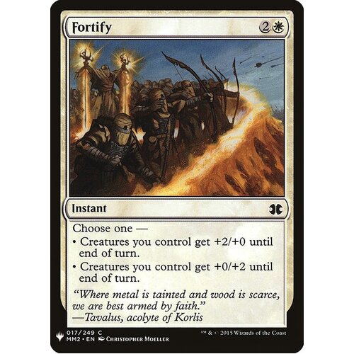 Fortify - MB1