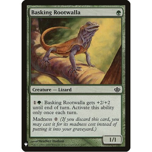 Basking Rootwalla - MB1