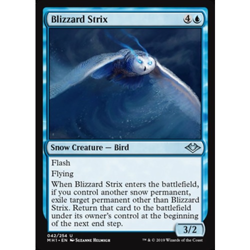 Blizzard Strix - MH1
