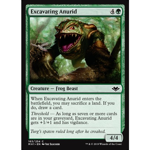 Excavating Anurid - MH1