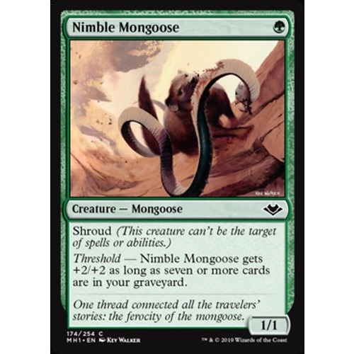 Nimble Mongoose - MH1