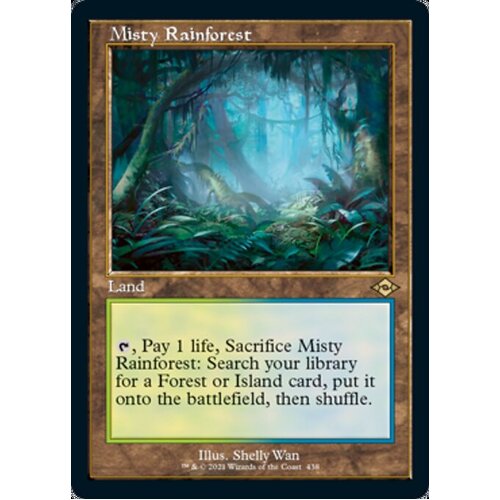Misty Rainforest (Retro Frame) -  MH2
