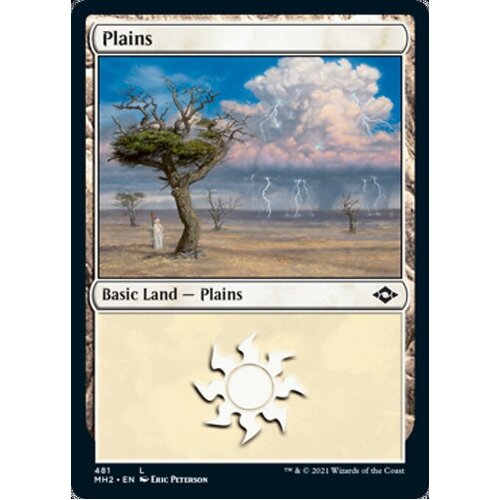 Plains (481) (Foil Etched)