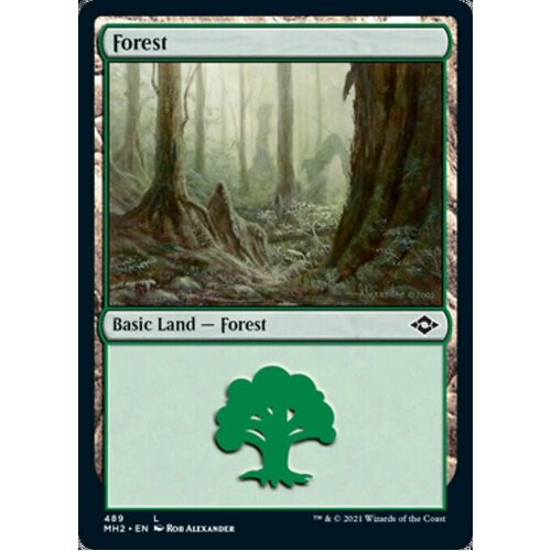 Forest (489) (Foil Etched)