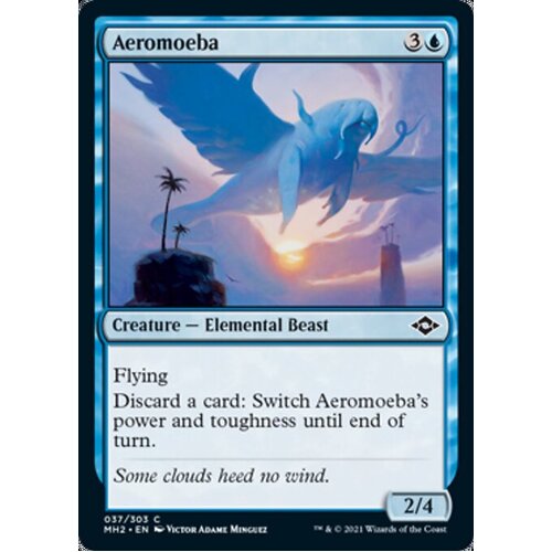 Aeromoeba FOIL - MH2