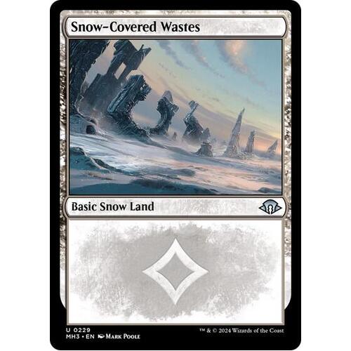 Snow-Covered Wastes (0229) - MH3
