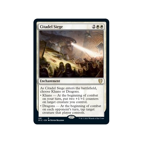 Citadel Siege - MIC