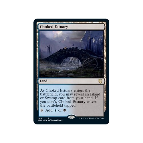 Choked Estuary - MIC