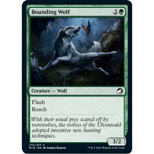 Bounding Wolf - MID