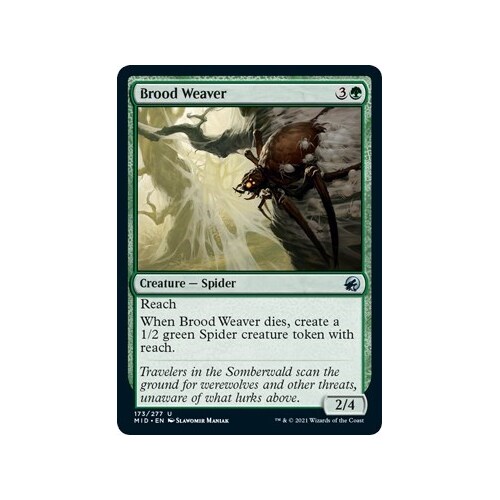 Brood Weaver - MID