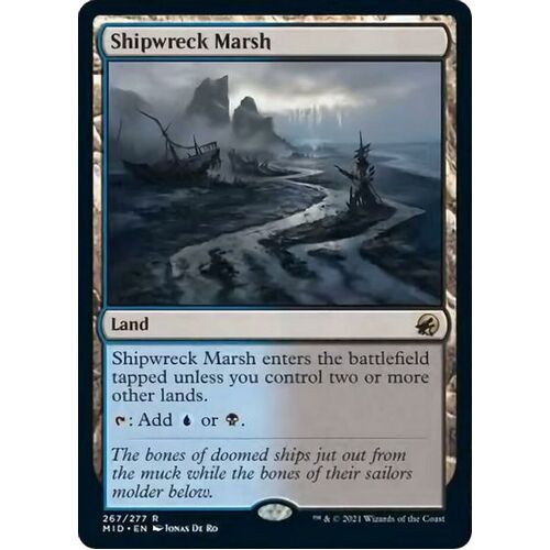 Shipwreck Marsh - MID