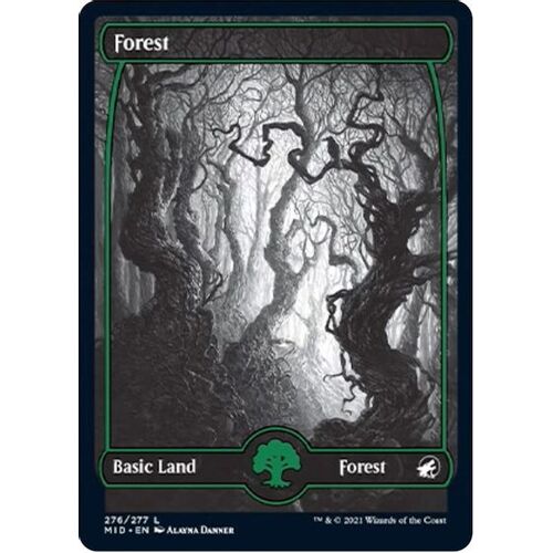 Forest (276) - MID