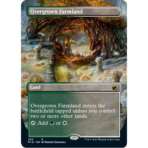 Overgrown Farmland (Borderless) - MID