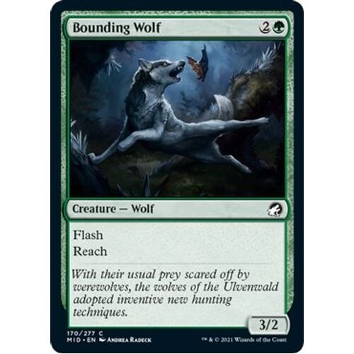 Bounding Wolf FOIL - MID