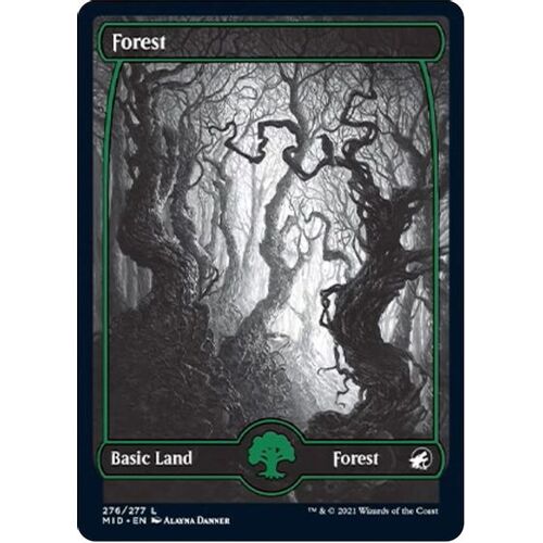 Forest (276) FOIL - MID