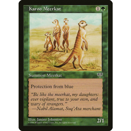 Karoo Meerkat - MIR