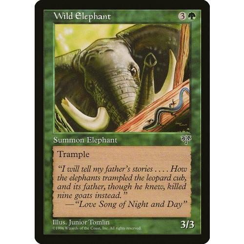 Wild Elephant - MIR