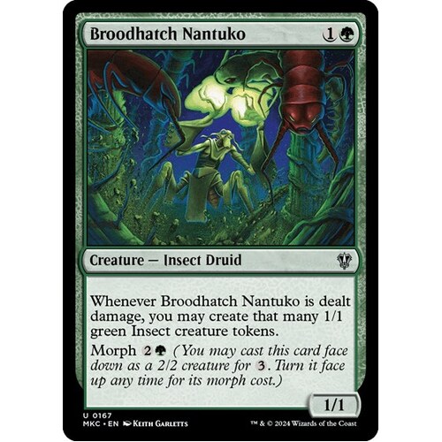 Broodhatch Nantuko - MKC