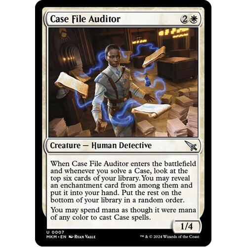 Case File Auditor FOIL - MKM