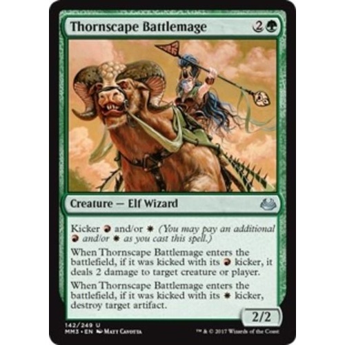 Thornscape Battlemage FOIL - MM3