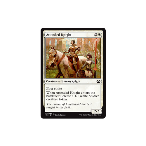 Attended Knight - MM3