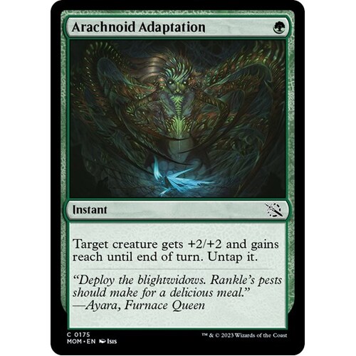 Arachnoid Adaptation FOIL - MOM
