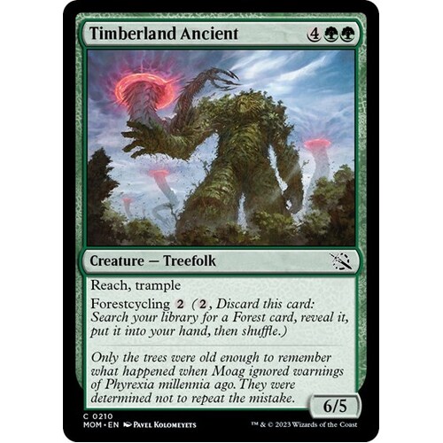 Timberland Ancient FOIL - MOM