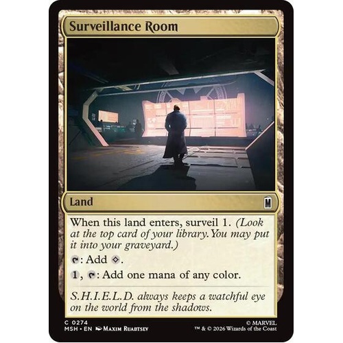 Surveillance Room FOIL - MSH