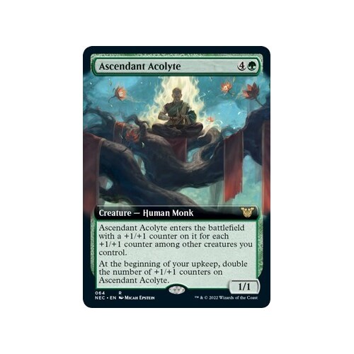 Ascendant Acolyte (Extended Art) - NEC