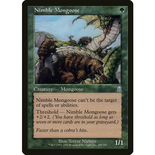 Nimble Mongoose - ODY
