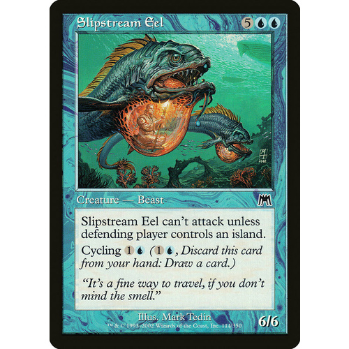 Slipstream Eel FOIL - ONS