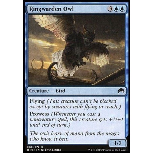 Ringwarden Owl - ORI