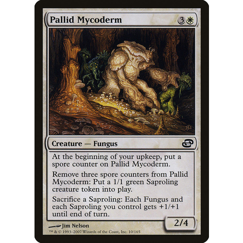Pallid Mycoderm FOIL - PLC