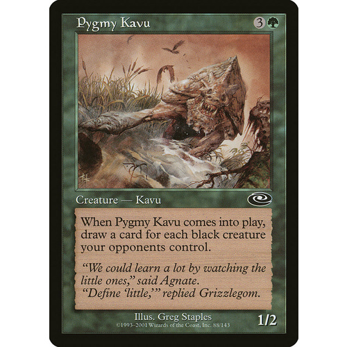Pygmy Kavu - PLS