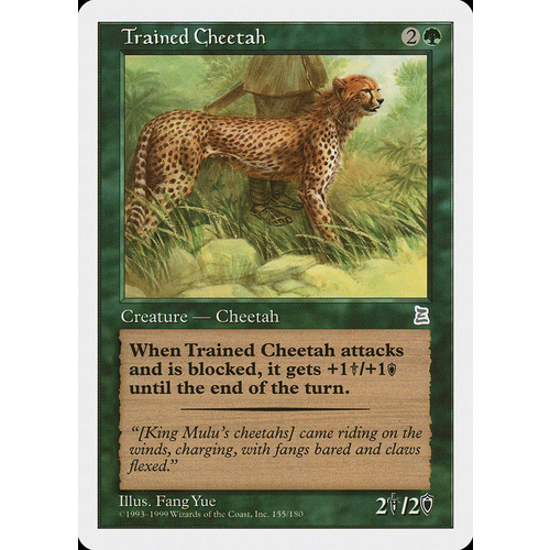 Trained Cheetah - PTK