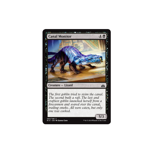 Canal Monitor FOIL - RIX