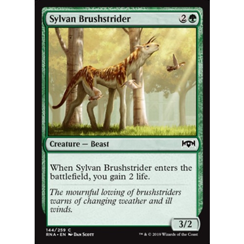 Sylvan Brushstrider - RNA