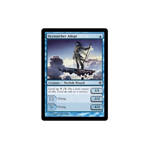 Skywatcher Adept - ROE