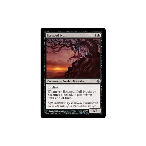 Escaped Null - ROE
