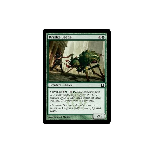 Drudge Beetle FOIL - RTR