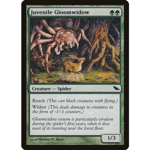 Juvenile Gloomwidow - SHM