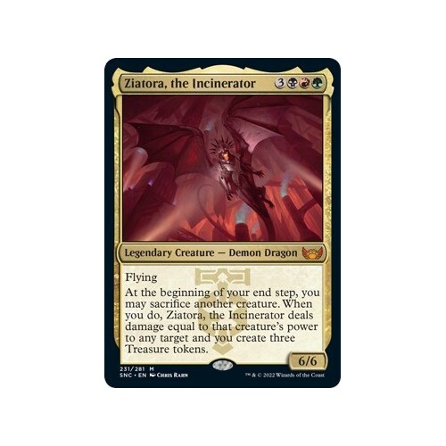 Ziatora, the Incinerator FOIL - SNC