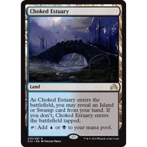 Choked Estuary - SOI