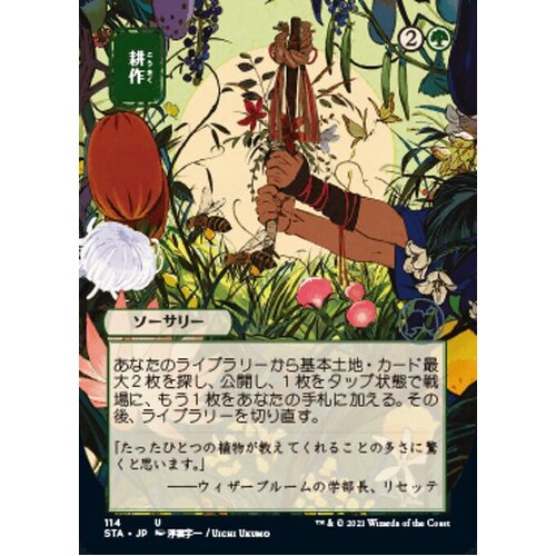 Cultivate (Japanese Alternate Art) - STA